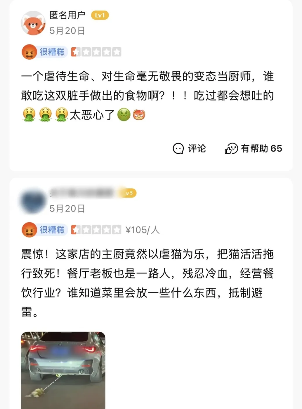 海口“虐猫”事件:他们在用真心传播谣言-广告人干货库