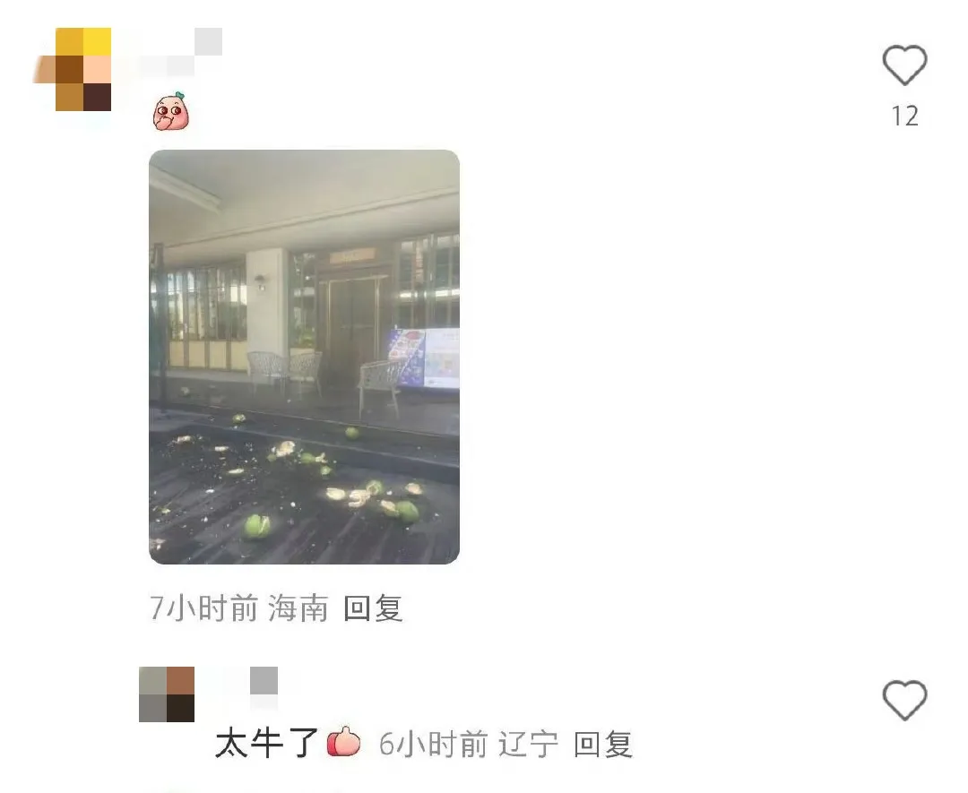 海口“虐猫”事件:他们在用真心传播谣言-广告人干货库