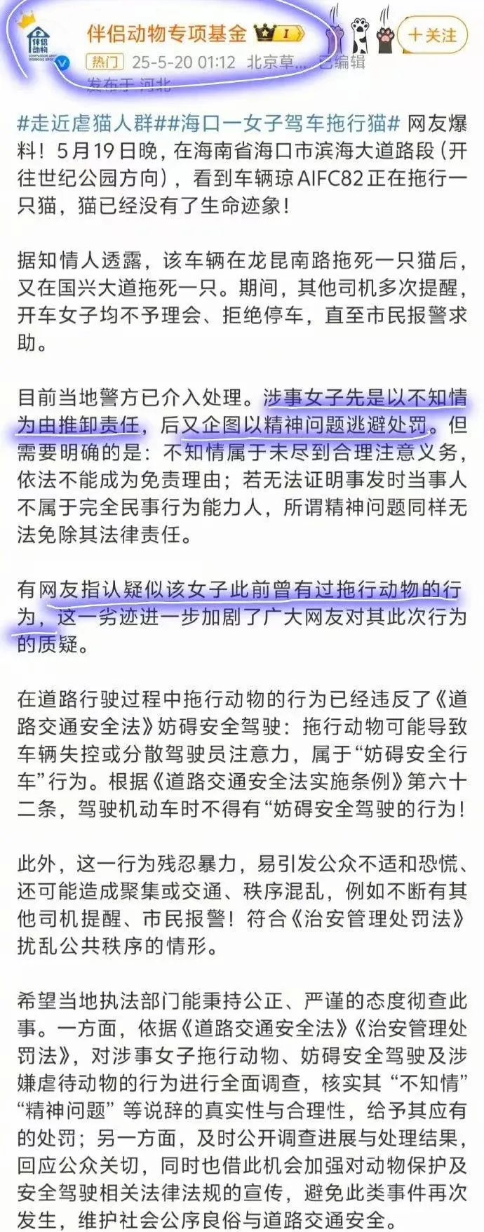 海口“虐猫”事件:他们在用真心传播谣言-广告人干货库