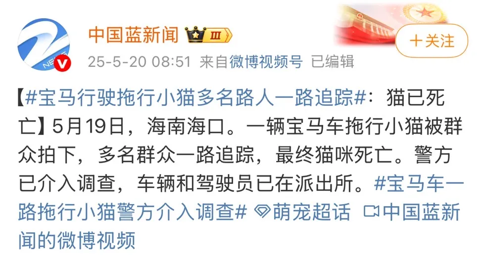 海口“虐猫”事件:他们在用真心传播谣言-广告人干货库