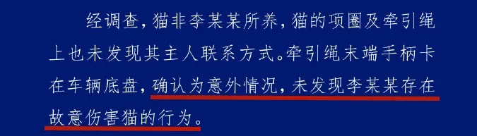 海口“虐猫”事件:他们在用真心传播谣言-广告人干货库