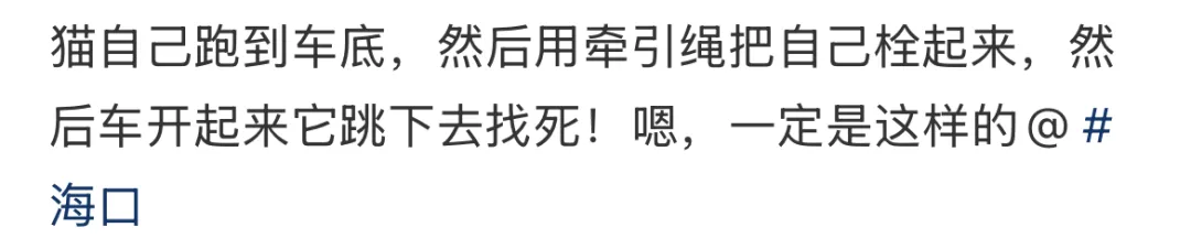 海口“虐猫”事件:他们在用真心传播谣言-广告人干货库