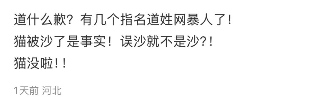 海口“虐猫”事件:他们在用真心传播谣言-广告人干货库