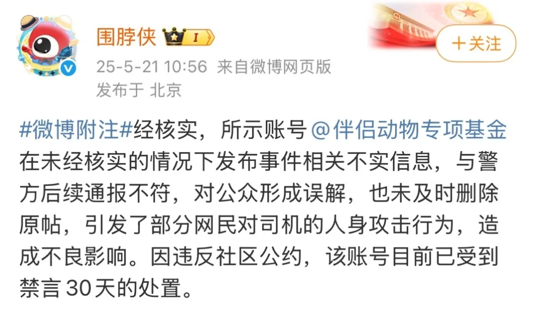 海口“虐猫”事件:他们在用真心传播谣言-广告人干货库