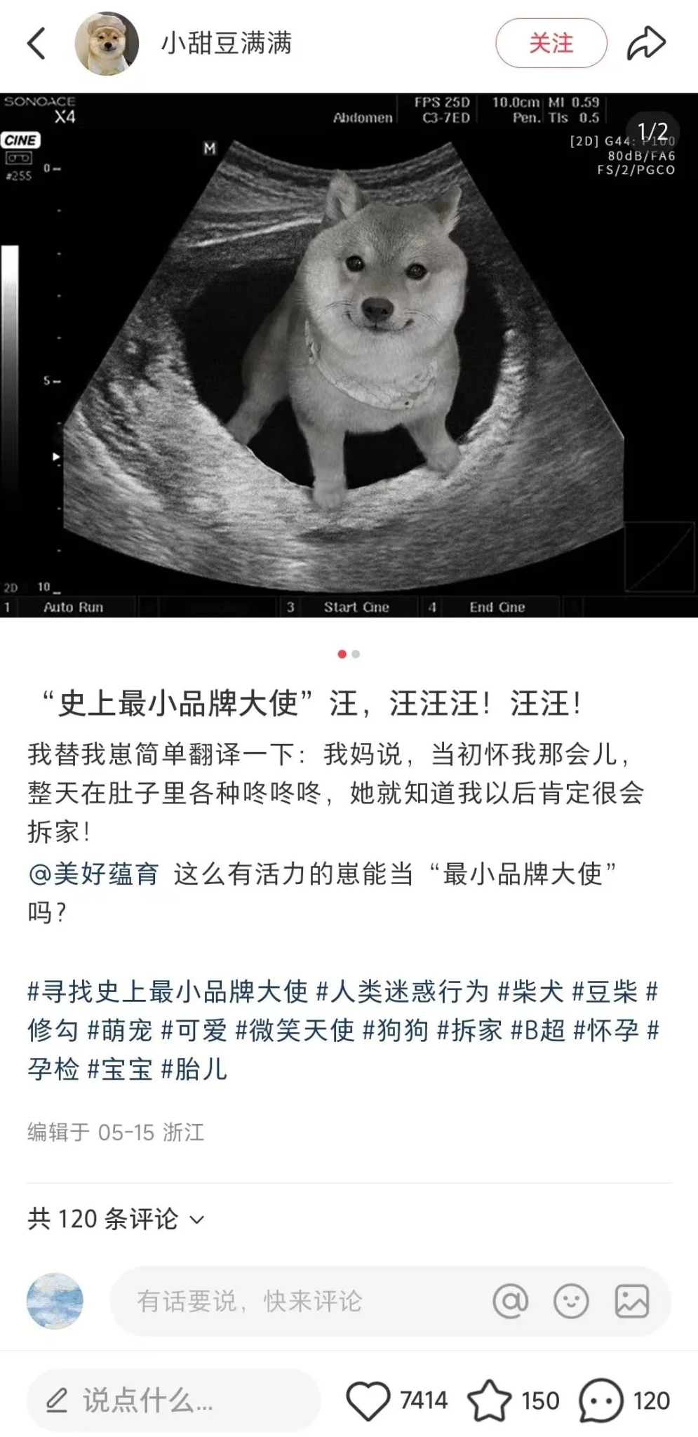 美好蕴育润康×之外创意:寻找史上最小品牌大使-广告人干货库