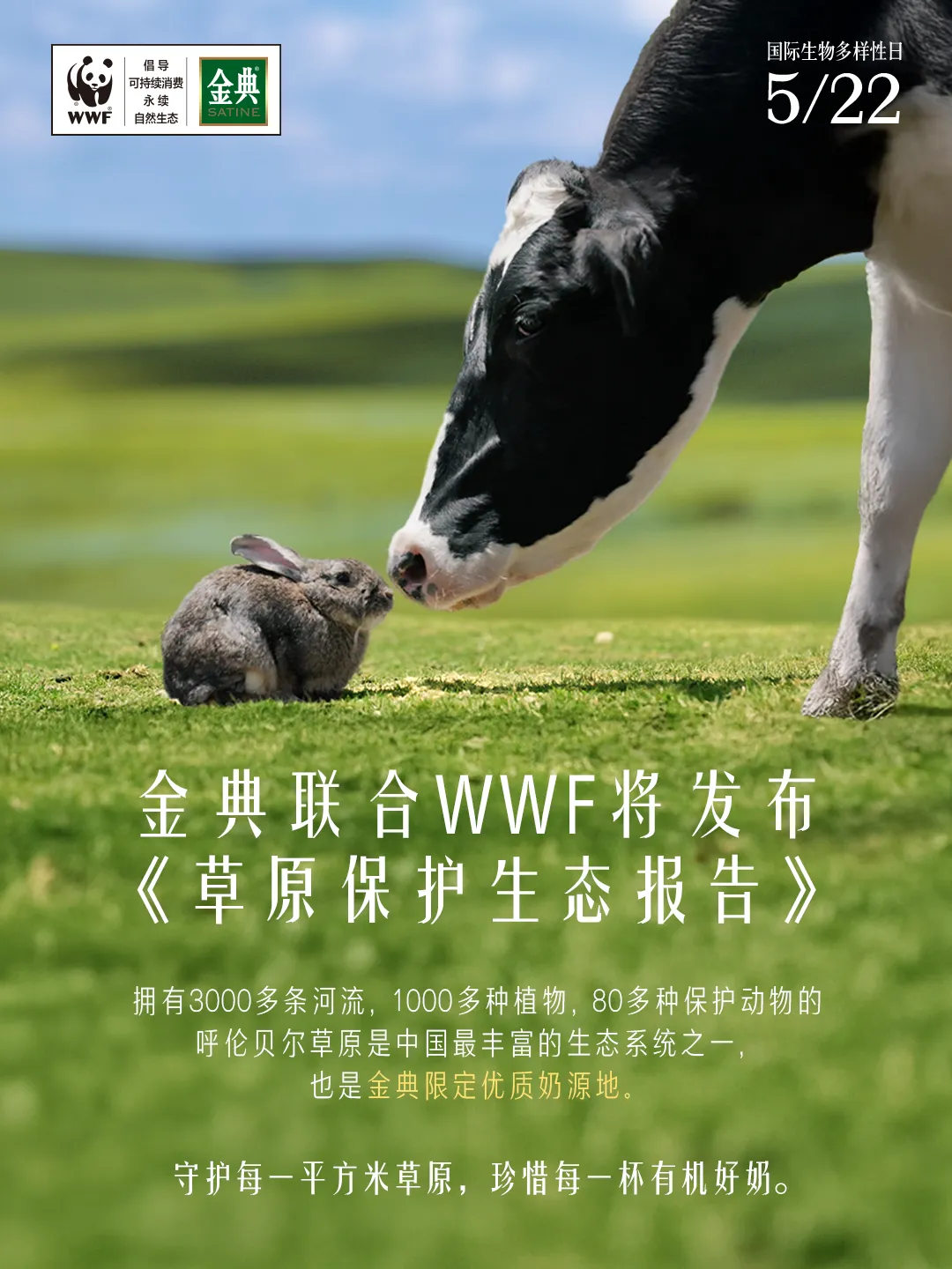 看完金典新广告,只想去呼伦贝尔当牛马-广告人干货库