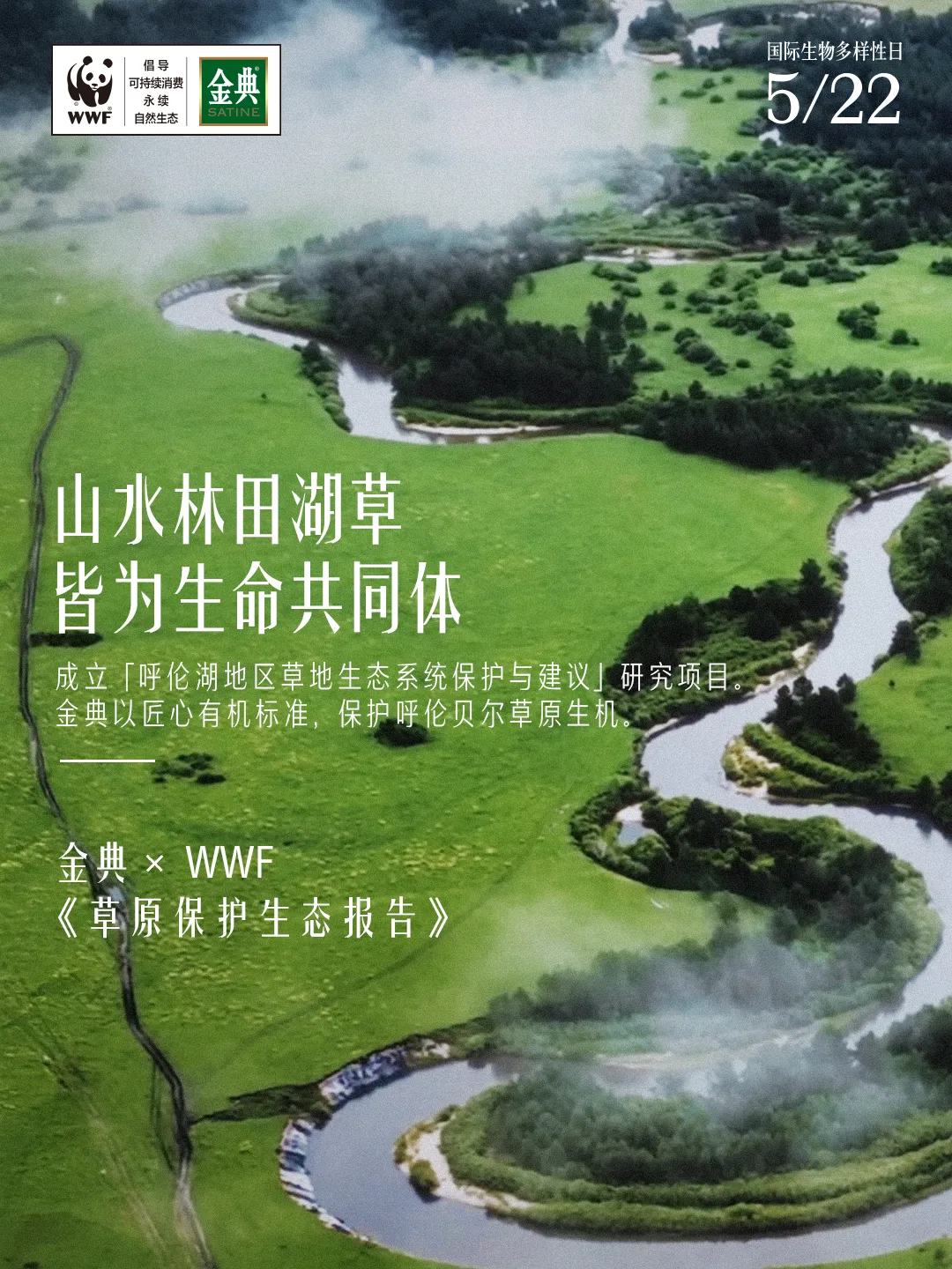 看完金典新广告,只想去呼伦贝尔当牛马-广告人干货库