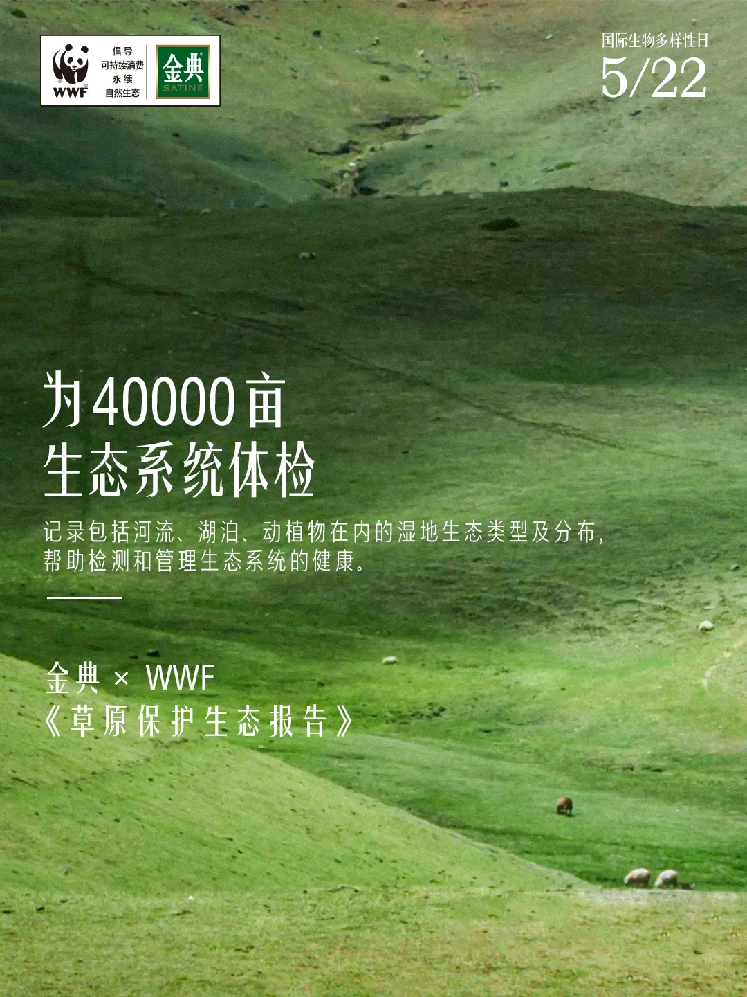 看完金典新广告,只想去呼伦贝尔当牛马-广告人干货库
