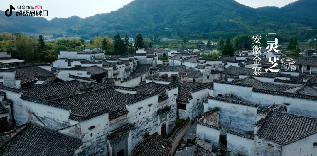 广告人干货库 抖音商城:中国好成分,写在山川风物之中-广告人干货库