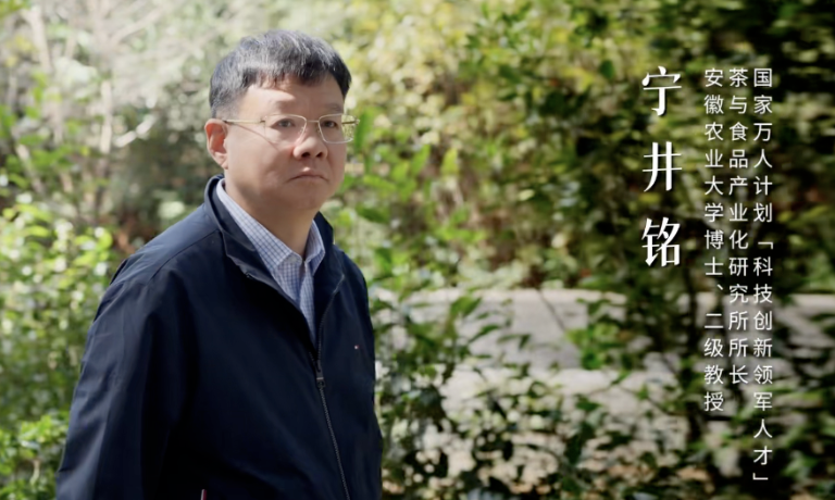 广告人干货库 安缦·茶马古窖:把193个国家代表,请到景迈山喝茶-广告人干货库