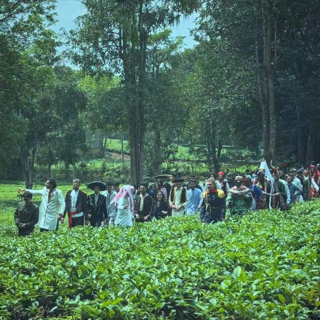 广告人干货库 安缦·茶马古窖:把193个国家代表,请到景迈山喝茶-广告人干货库
