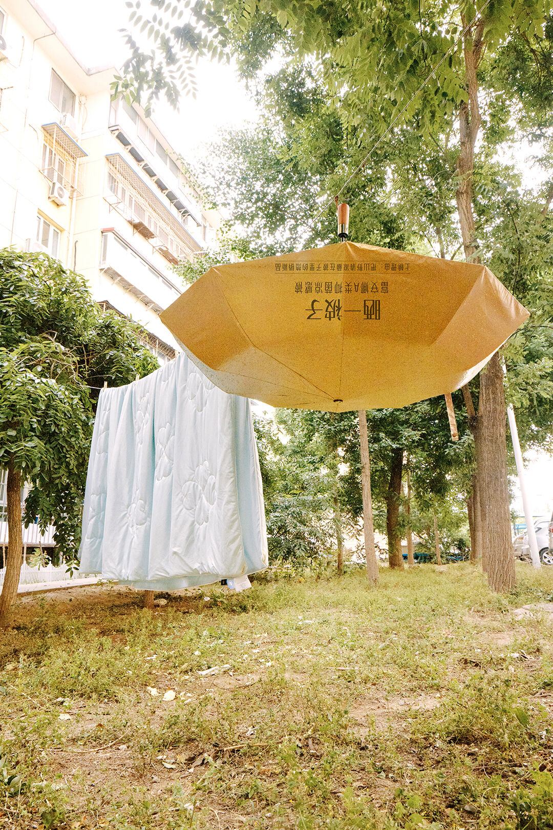 为什么建议你多晒晒：夏日限定的Idea，让好东西统统晒出来～-广告人干货库