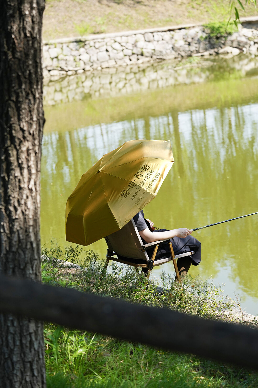 广告人干货库 为什么建议你多晒晒:夏日限定的Idea,让好东西统统晒出来~-广告人干货库