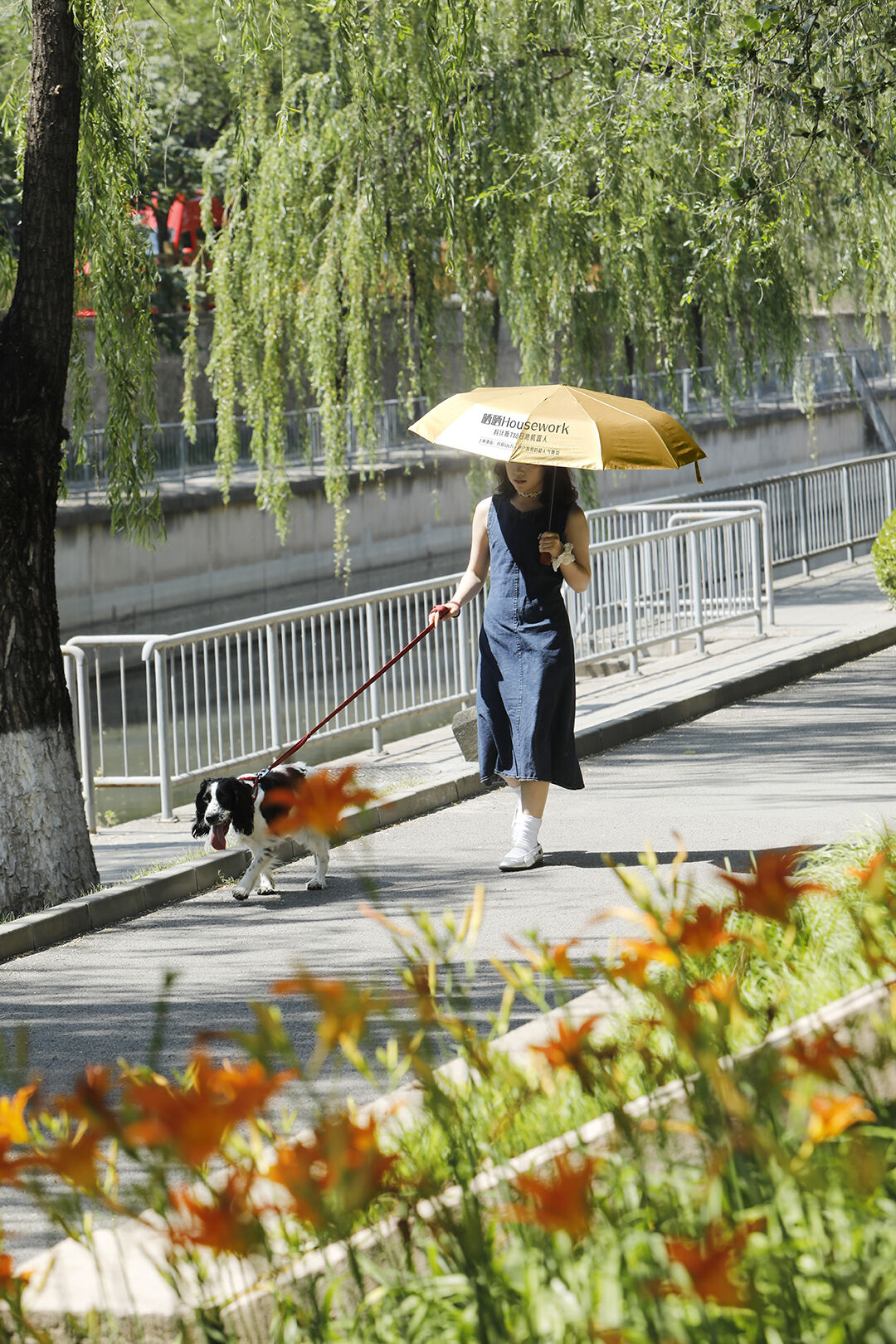 广告人干货库 为什么建议你多晒晒:夏日限定的Idea,让好东西统统晒出来~-广告人干货库