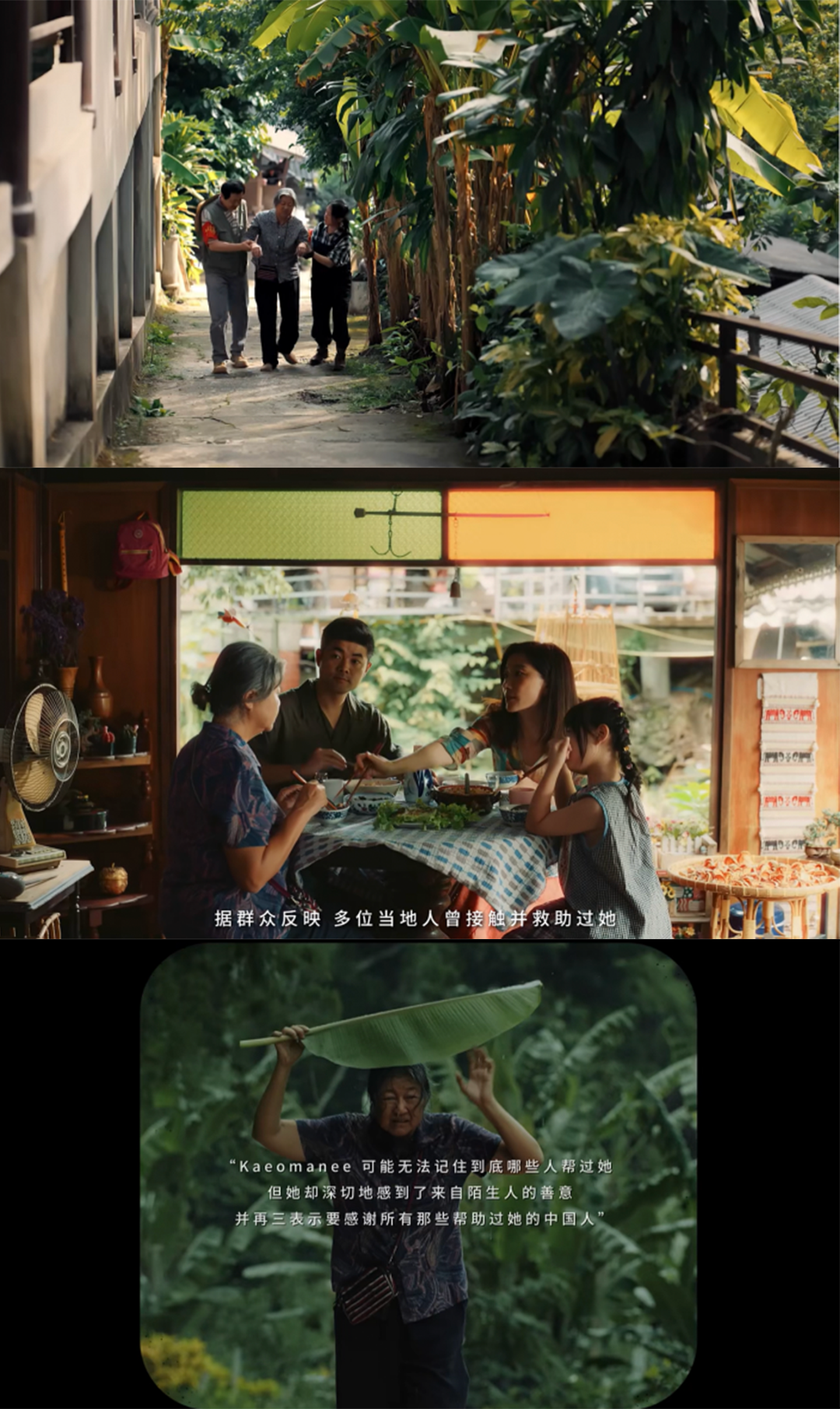 广告人干货库 天猫致敬中泰建交50周年,跟随大象脚步见证爱的同行-广告人干货库