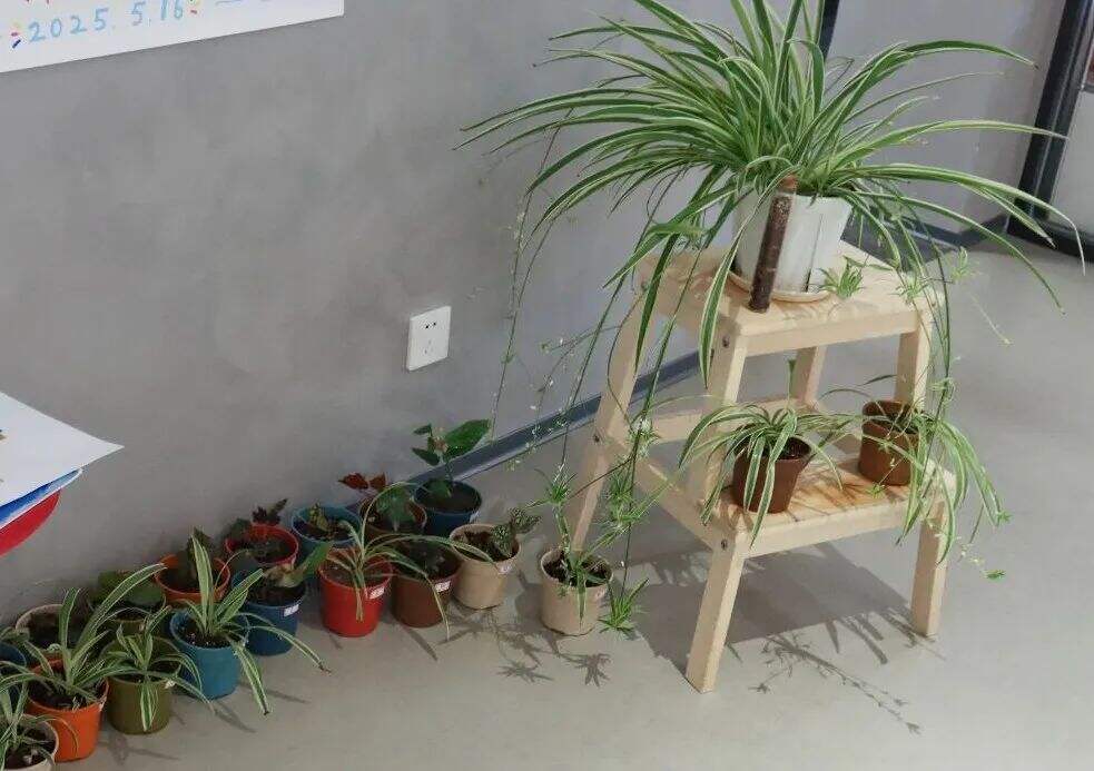 广告人干货库