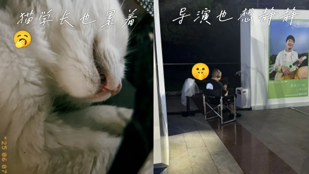 和vivo一起,把青春延长3秒-广告人干货库