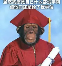 新世相的毕业季文案,太好哭了!-广告人干货库