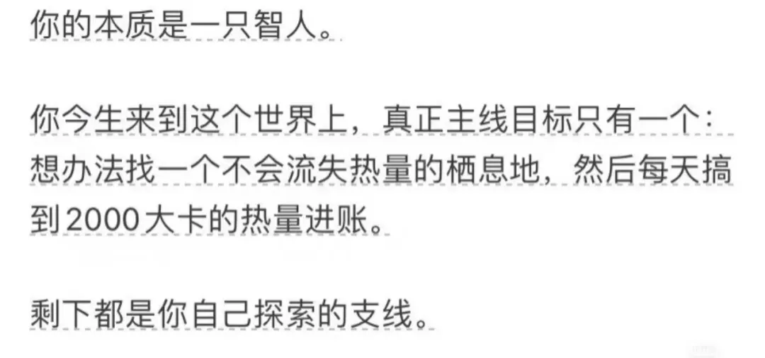 新世相的毕业季文案,太好哭了!-广告人干货库