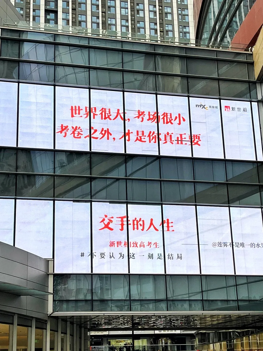新世相的毕业季文案,太好哭了!-广告人干货库