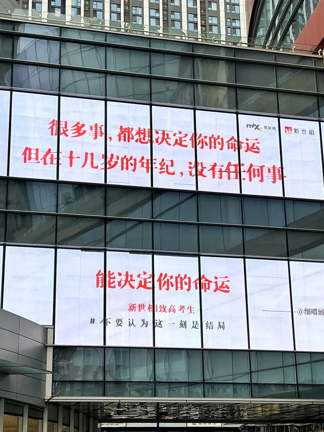 新世相的毕业季文案,太好哭了!-广告人干货库