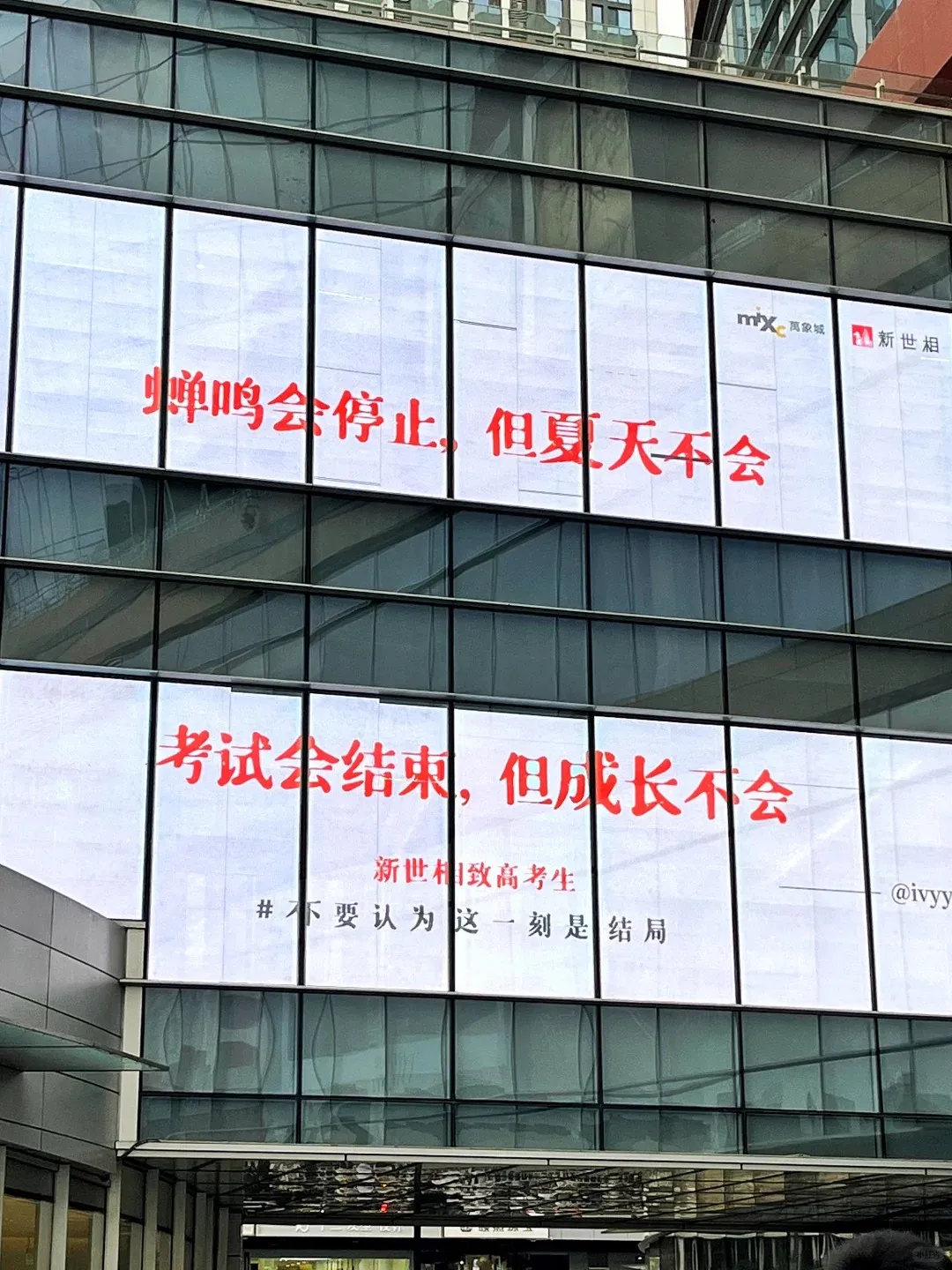 新世相的毕业季文案,太好哭了!-广告人干货库