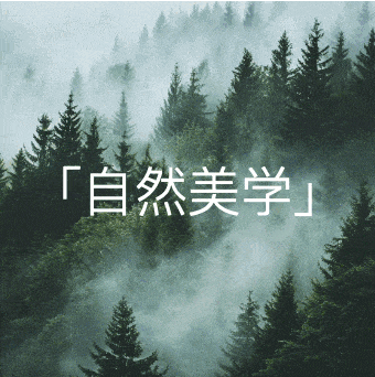 广告人干货库 柳丝木品牌升级:把活人感写进日常美学-广告人干货库