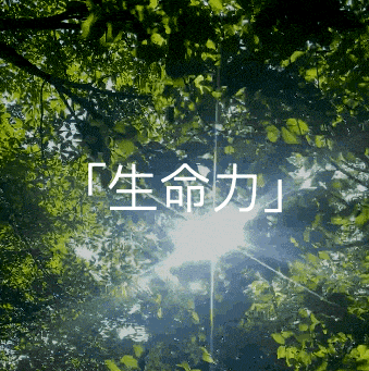 广告人干货库 柳丝木品牌升级:把活人感写进日常美学-广告人干货库