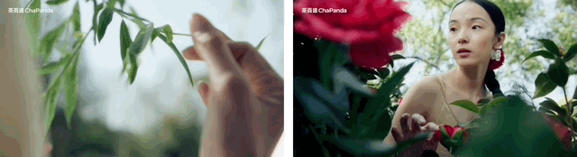 广告人干货库