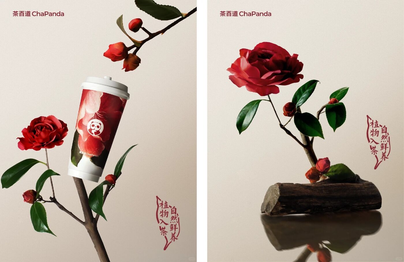 广告人干货库 茶百道×雎晓雯:东方植物入茶,自然鲜养身心-广告人干货库