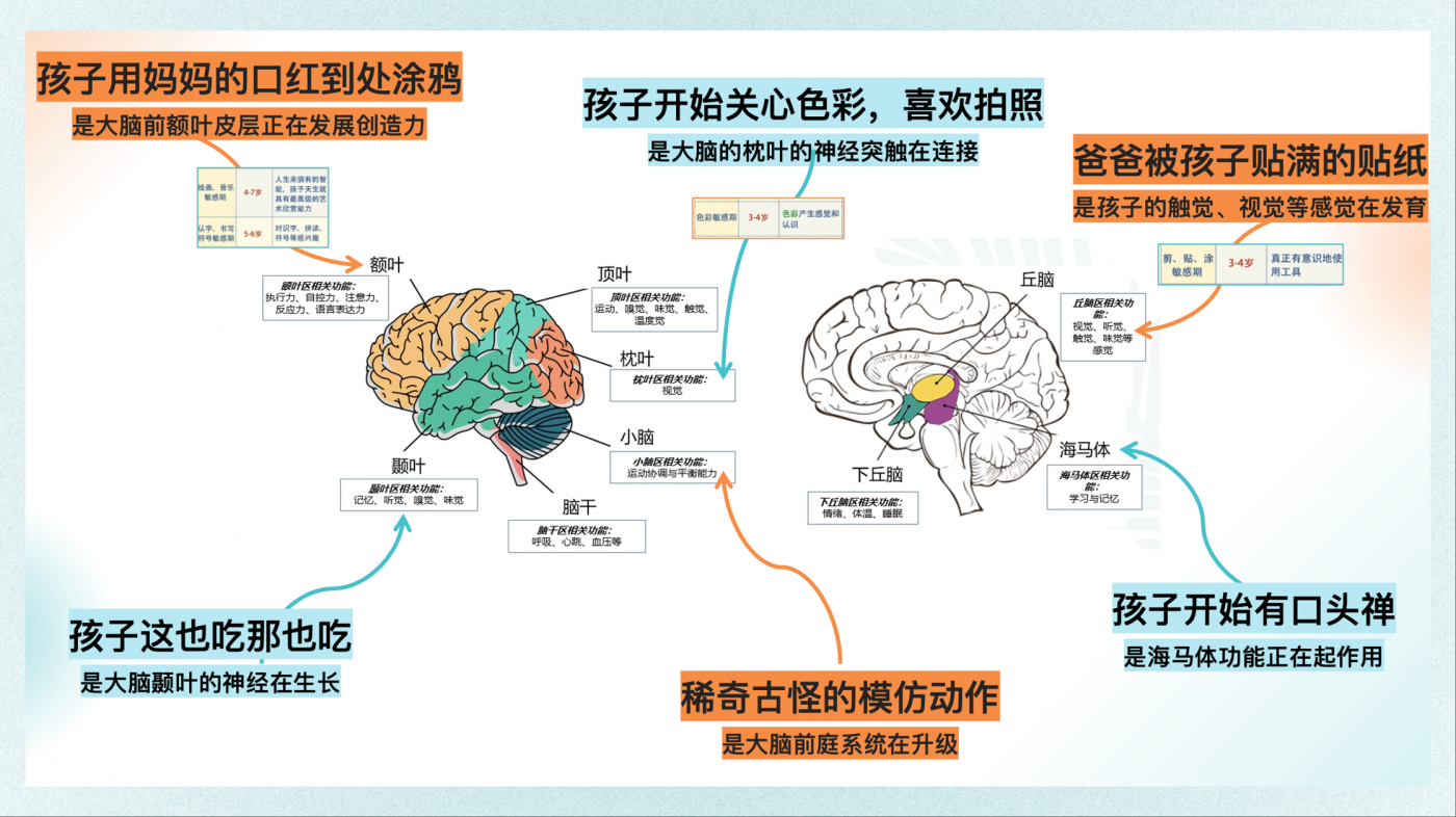 广告人干货库 小小斯维诗:爸妈的问号,成长的信号-广告人干货库