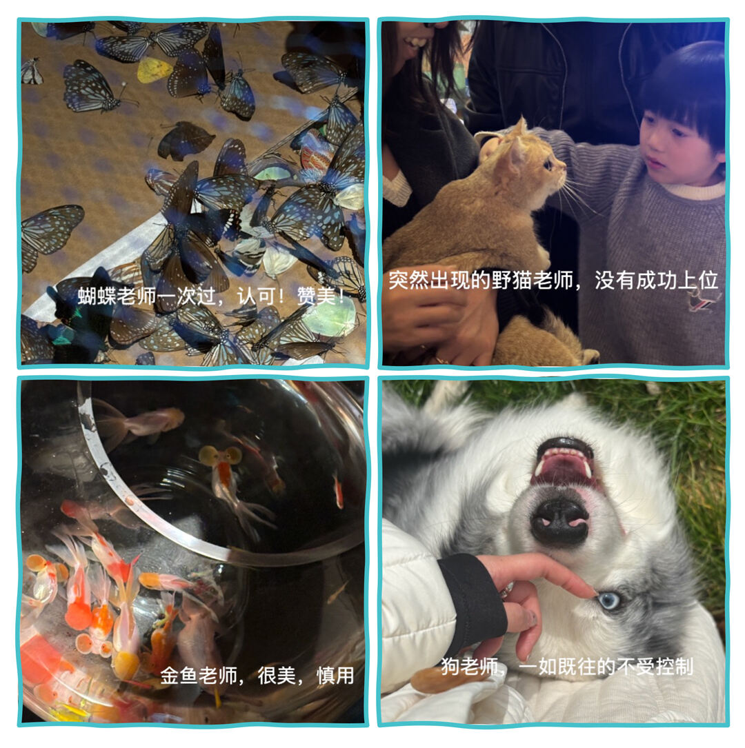 广告人干货库