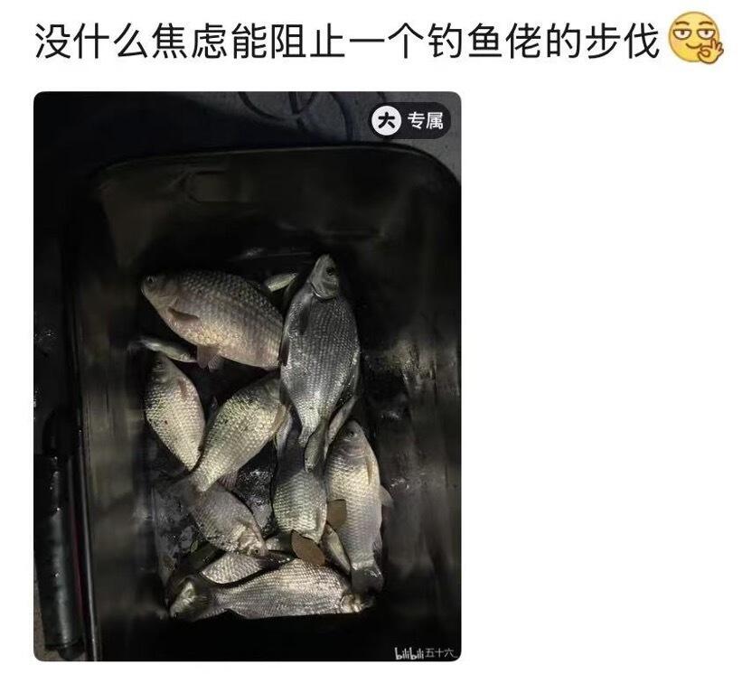 广告人干货库