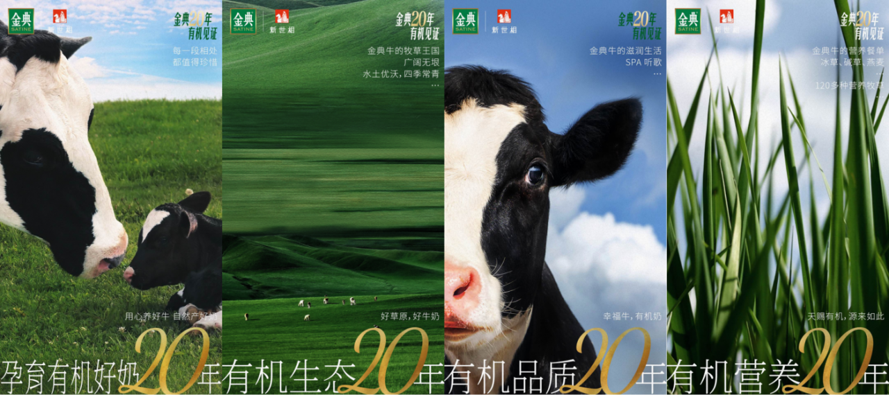 广告人干货库 20年 “挺牛”的金典只做了一件事-广告人干货库