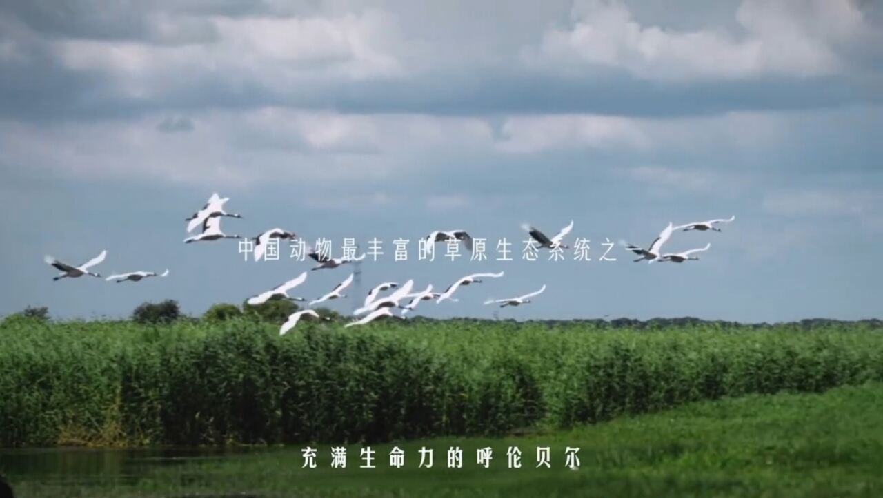 广告人干货库