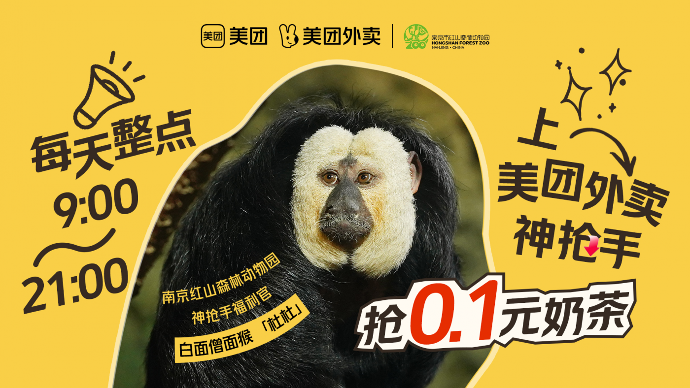 给美团外卖神抢手，极限做了两组Social小片-广告人干货库