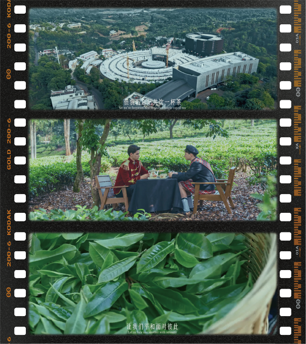 广告人干货库 茶马古窖:请全世界坐下来,共饮一杯和平之茶-广告人干货库