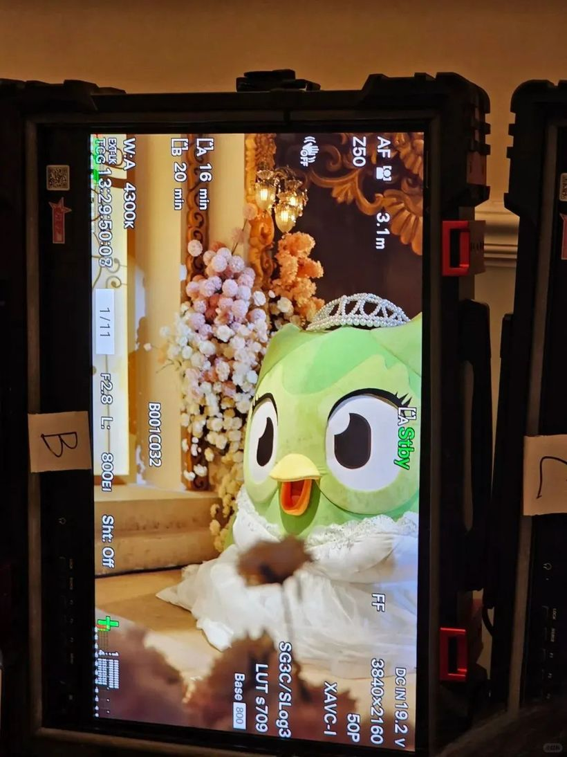 1条图文引来100+品牌团建互动,多邻国“杀疯了”-广告人干货库