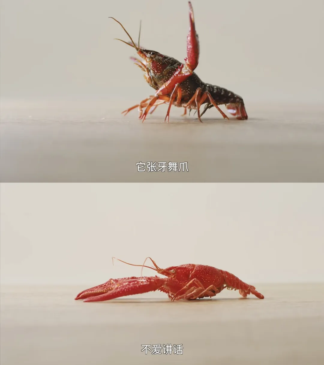 建议纳入避暑指南:这些夏日广告比冰镇西瓜还上头-广告人干货库