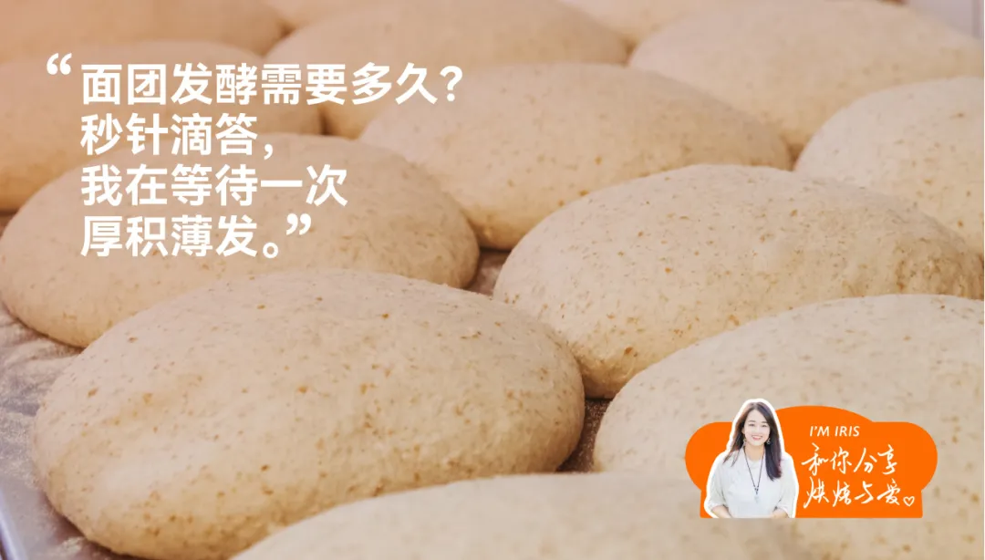 痛点抓准了,策略就稳了 | 新艾瑞斯烤箱x小马宋咨询案例复盘-广告人干货库