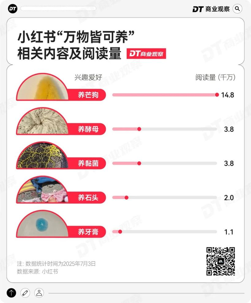 小红书,当代年轻人的线上兴趣班-广告人干货库