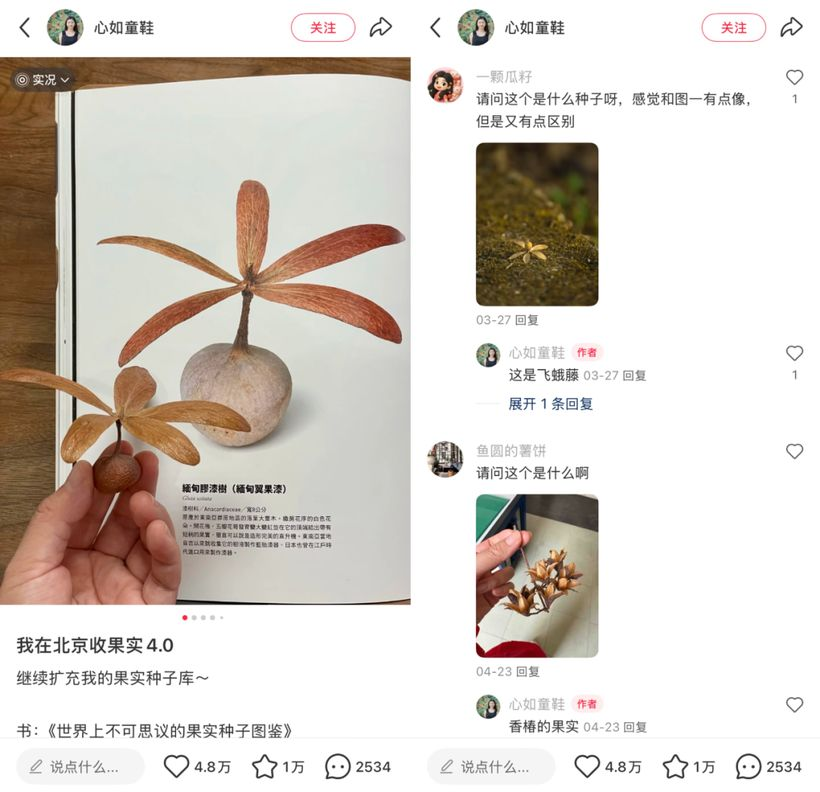 小红书,当代年轻人的线上兴趣班-广告人干货库
