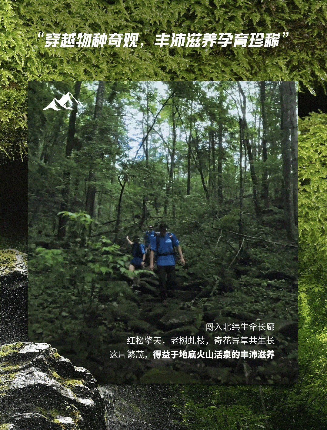 广告人干货库 别人溯源靠讲故事,我们靠“玩命”探险|伊刻活泉X介陌-广告人干货库