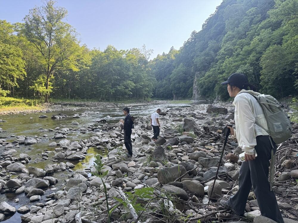 广告人干货库 别人溯源靠讲故事,我们靠“玩命”探险|伊刻活泉X介陌-广告人干货库