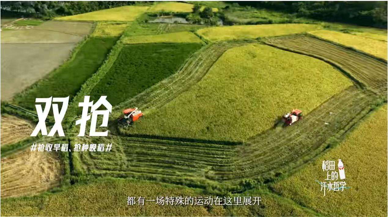 广告人干货库