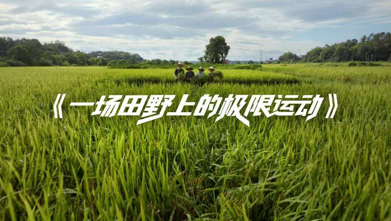 广告人干货库