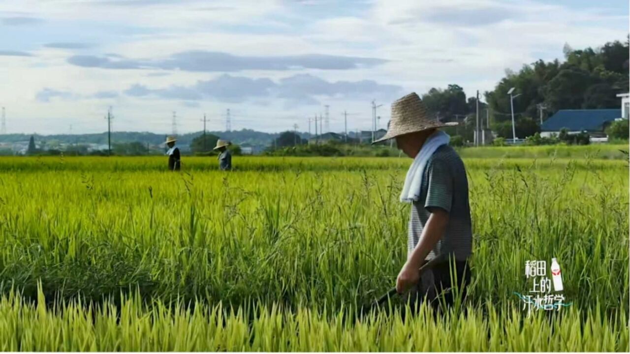 广告人干货库