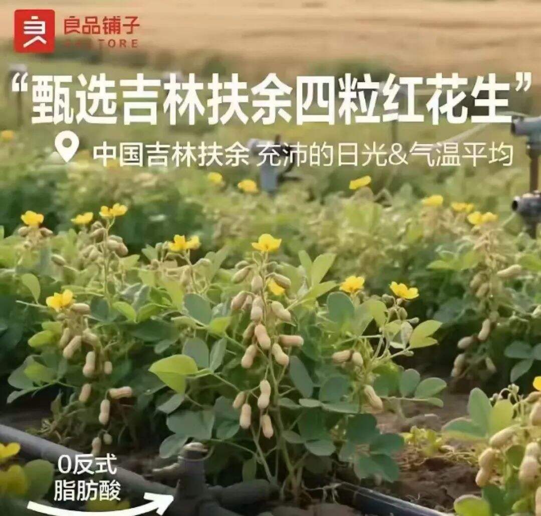 花生在树上结果?良品铺子道歉-广告人干货库