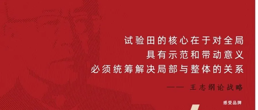 读懂王志纲的战略思维-广告人干货库