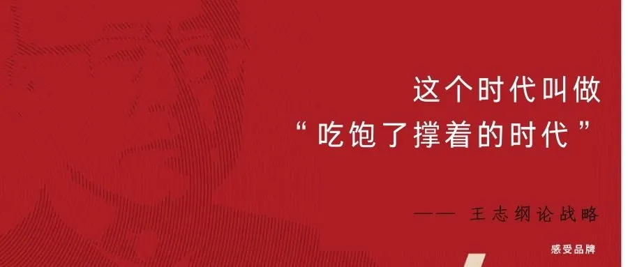 读懂王志纲的战略思维-广告人干货库